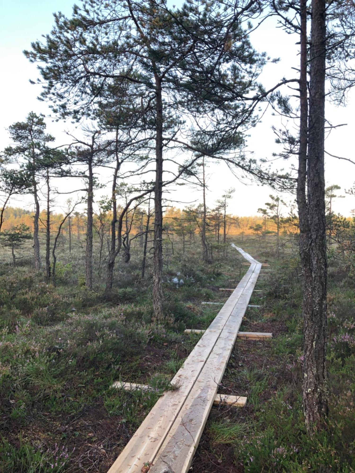 Kylas Vildmark Skillingaryd Buitenkant foto